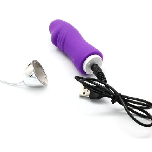 Rechargeable Silicone Vibrating Egg with 12-Speed Remote Control in Penis-Inspired Design